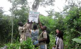 La création de la forêt pilote sur le site de l'Ecovillage de Tsiviépé OUI C'EST POSSIBLE !!! 