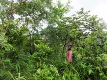 La création de la forêt pilote sur le site de l'Ecovillage de Tsiviépé OUI C'EST POSSIBLE !!! 