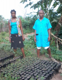 Activité du Centre pour la promotion agricole de la Lukula, R.D. Congo