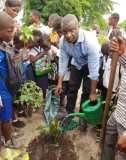 Journée de l'arbre en RD Congo le 5 décembre 2020