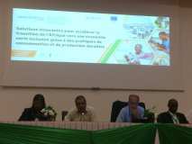 Forum de réseautage régional de Switch Africa Green 