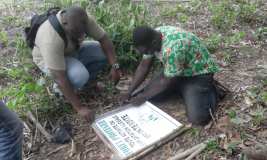 La création de la forêt pilote sur le site de l'Ecovillage de Tsiviépé OUI C'EST POSSIBLE !!! 