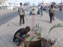 La Terre des Jeunes Togo marque le plus grand boulevard de la Capitale 