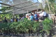 Plantations avec l'appui de UNWG Charity et du Collège Sainte-Anne