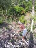 Plantation d'arbres à Gros-Morne en collaboration avec MyTree