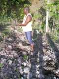 Plantation d'arbres à Gros-Morne en collaboration avec MyTree