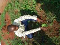 TDJ-Sud Benin: Journee de l'arbre au BENIN 