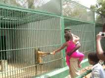 Visite du parc Zoologique et Forestier de Hann