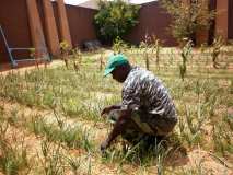 Formation théorique et pratique sur les techniques de production des plants