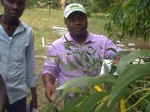 TDJ BENIN signe "Formation sur les différents plants entrant dans la création d'une forêt artificielle"