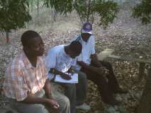 Collaboration entre AJGR et l'ACDSGM pour le reboisement de la commune