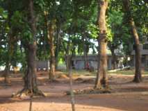 Education et Sensibilisation Environnementale et la Formations sur les activités agropastorales afin d'encourager l'autonomisation de la jeunesse.