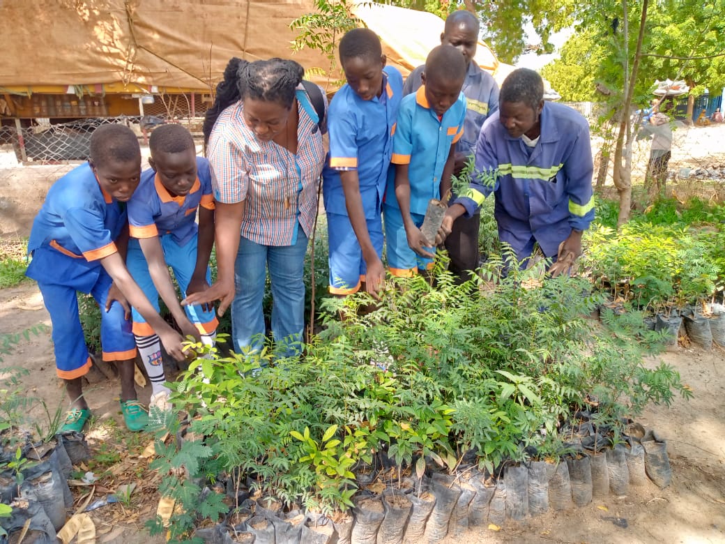 Activités du 40e au Cameroun