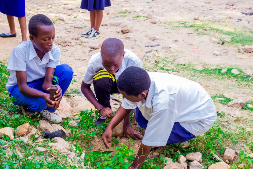 Activités en R. D. Congo