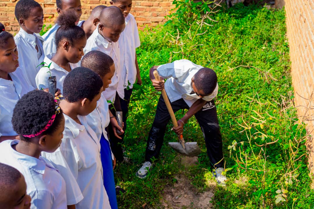 Activités en R. D. Congo