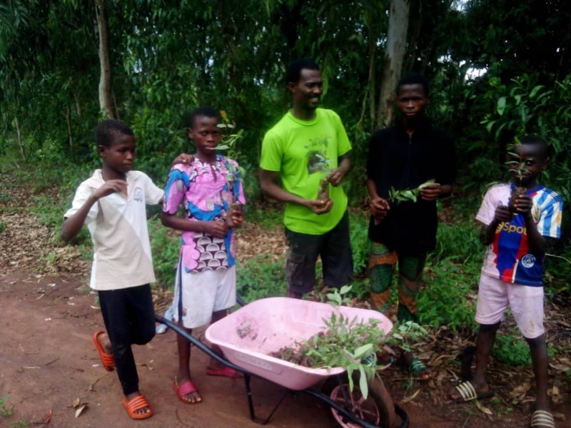 Fête de l'arbre 2026 au Bénin