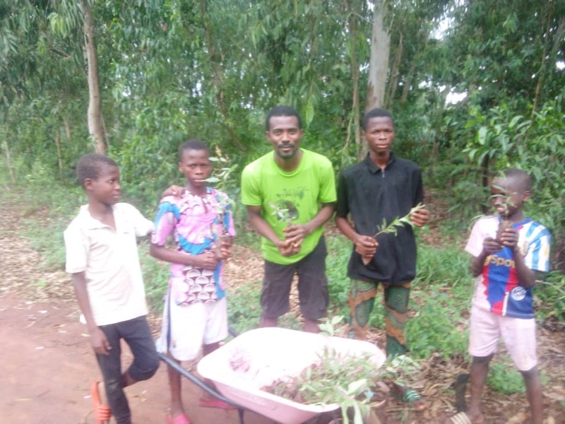 Fête de l'arbre 2026 au Bénin