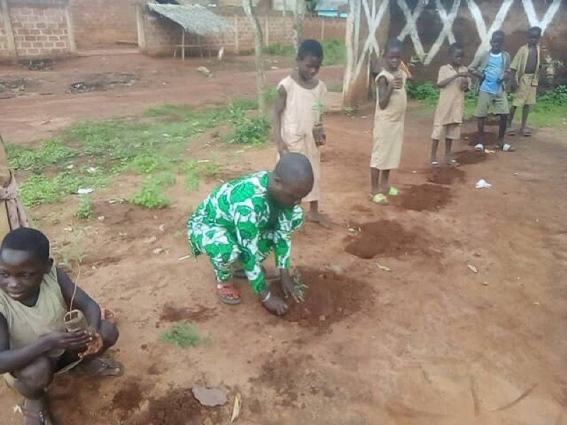 Fête de l'arbre 2026 au Bénin