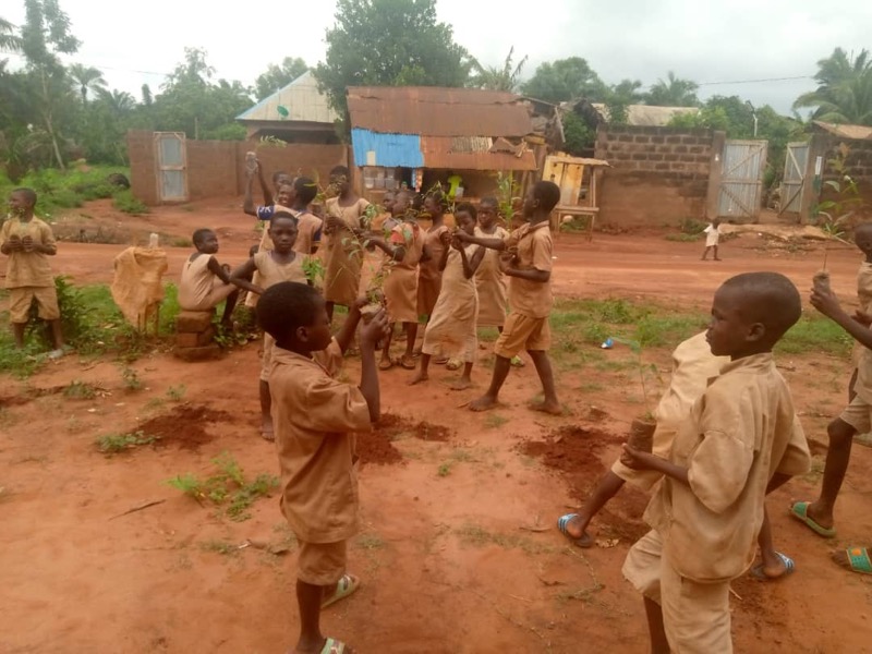 Fête de l'arbre 2026 au Bénin