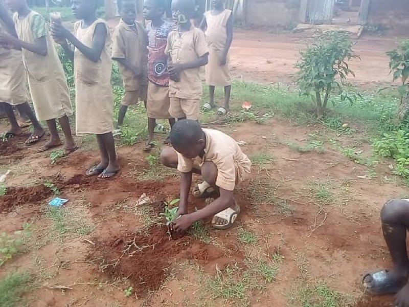 Fête de l'arbre 2026 au Bénin