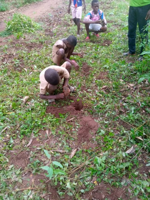 Fête de l'arbre 2026 au Bénin