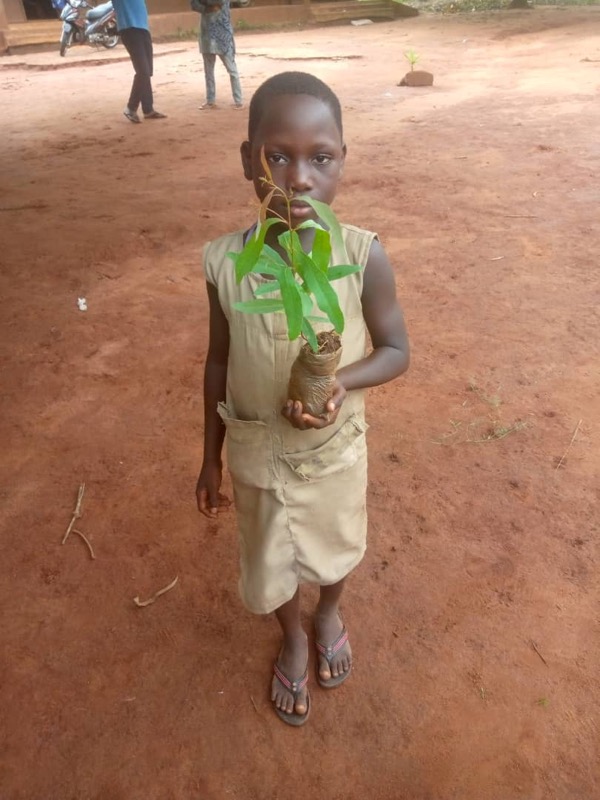 Fête de l'arbre 2026 au Bénin