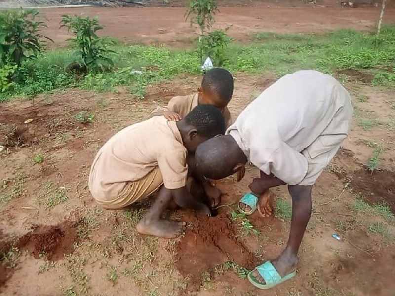 Fête de l'arbre 2026 au Bénin