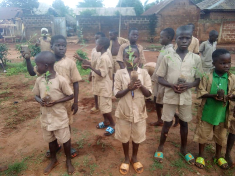 Fête de l'arbre 2026 au Bénin