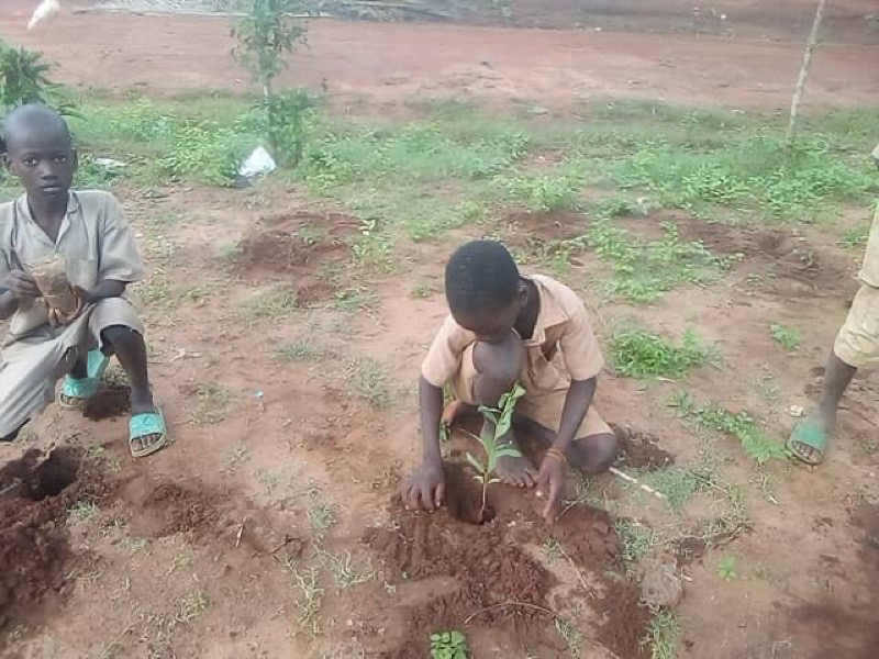 Fête de l'arbre 2026 au Bénin
