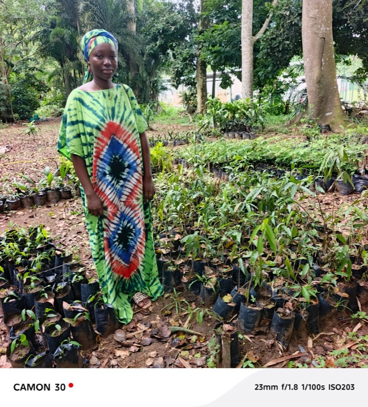 Fête de l'arbre 2026 en Côte d'Ivoire
