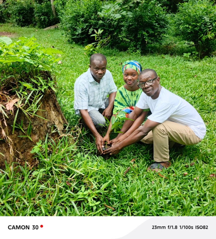 Fête de l'arbre 2026 en Côte d'Ivoire