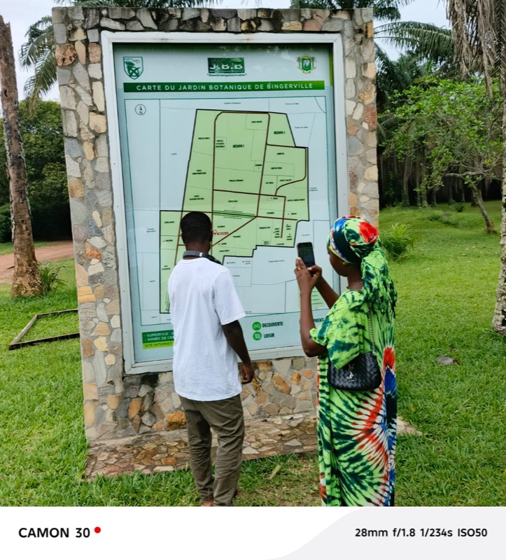 Fête de l'arbre 2026 en Côte d'Ivoire