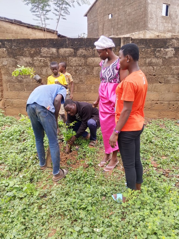 Fête de l'arbre 2026 au Togo