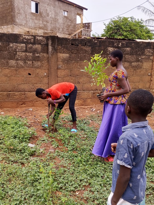 Fête de l'arbre 2026 au Togo