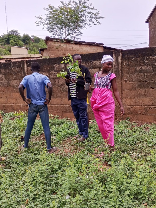 Fête de l'arbre 2026 au Togo