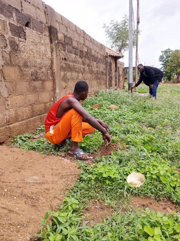 Fête de l'arbre 2026 au Togo