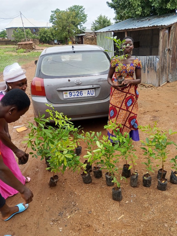 Fête de l'arbre 2026 au Togo