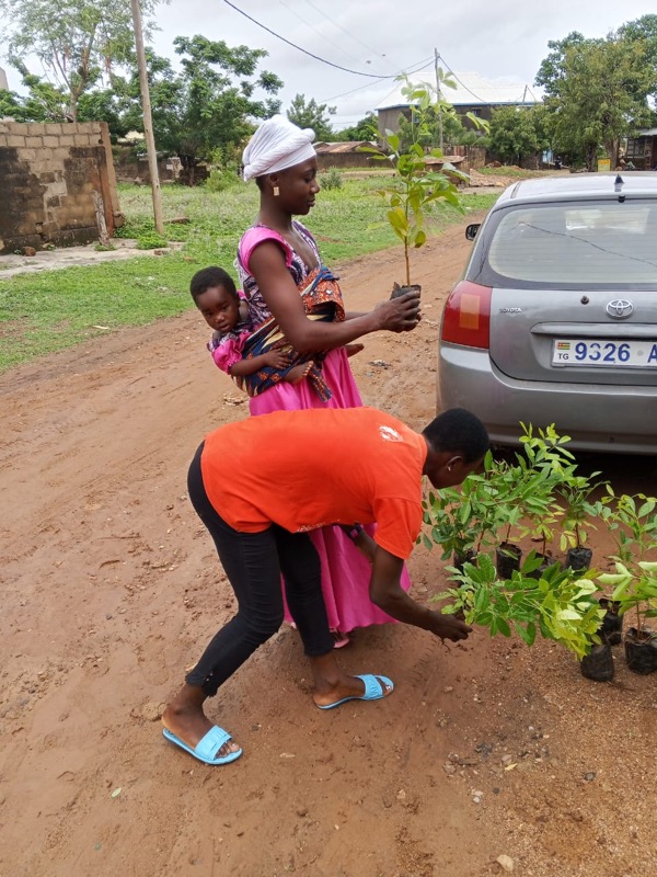 Fête de l'arbre 2026 au Togo