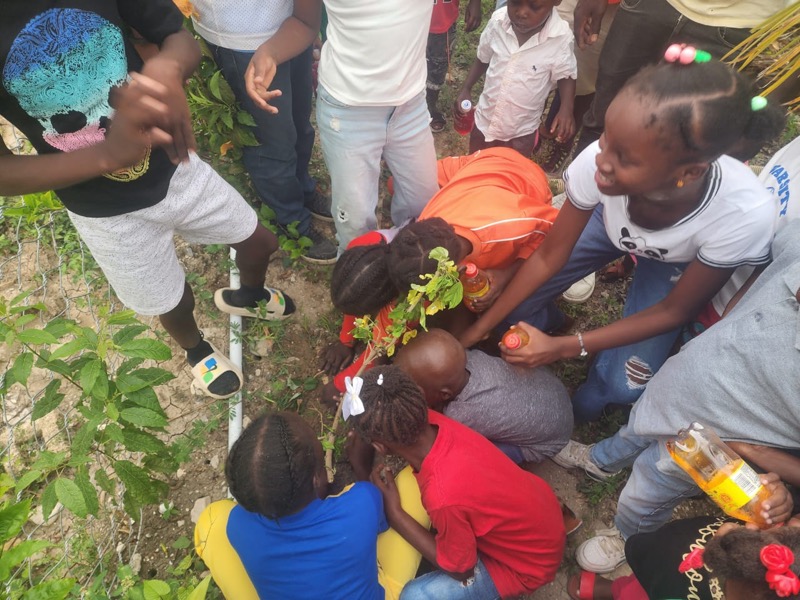 Fête de l'arbre 2026 en Haïti