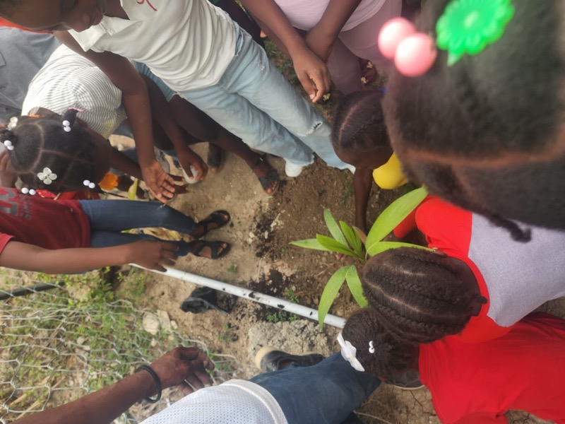 Fête de l'arbre 2026 en Haïti
