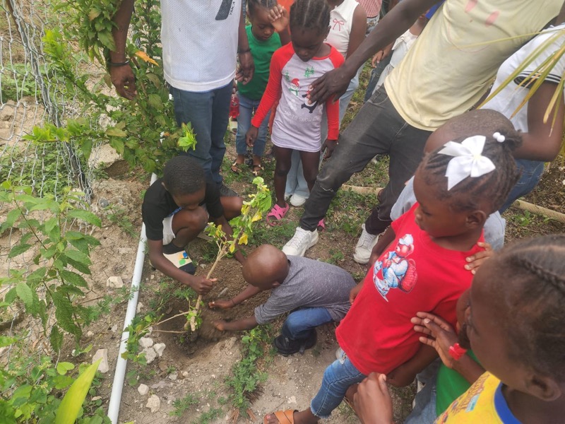 Fête de l'arbre 2026 en Haïti