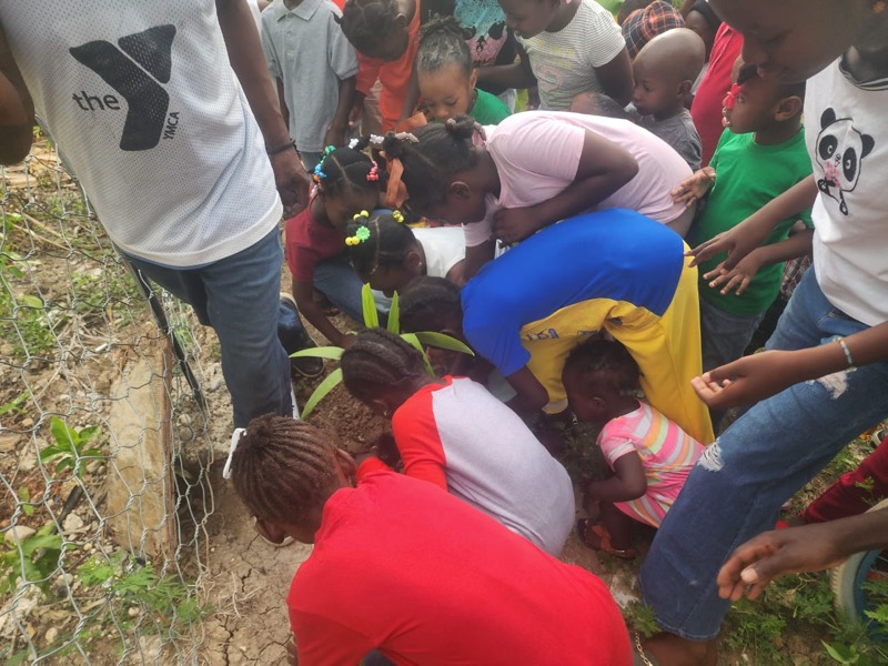 Fête de l'arbre 2026 en Haïti