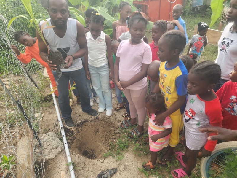 Fête de l'arbre 2026 en Haïti