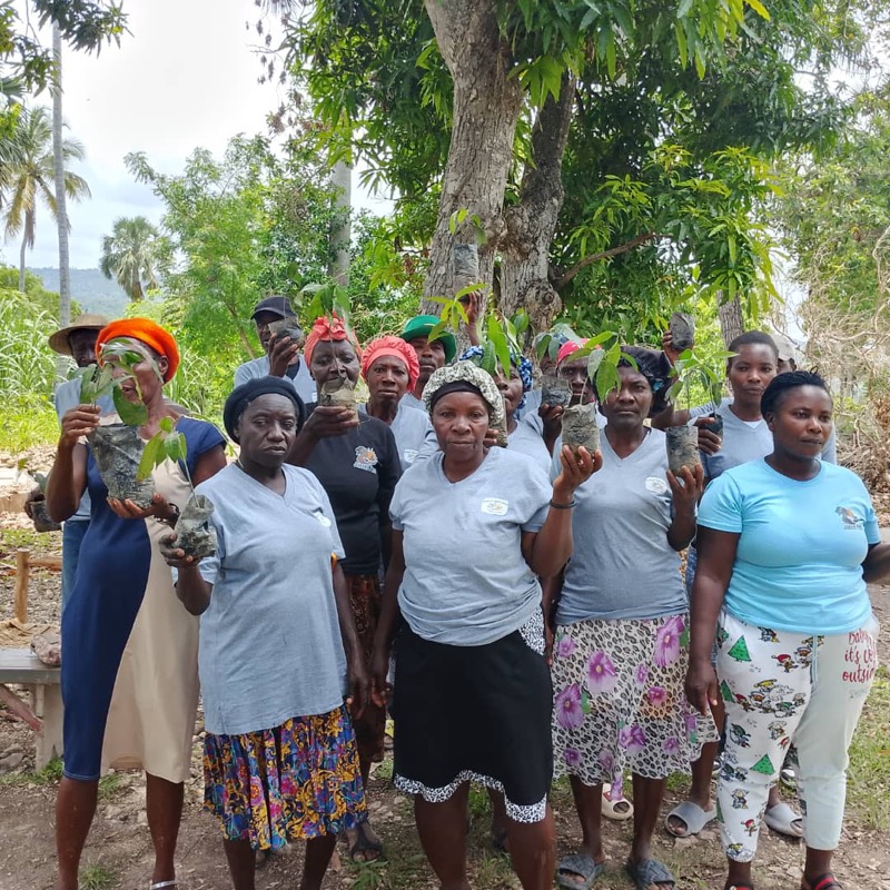 TDJ/Jean-Rabel, Haïti