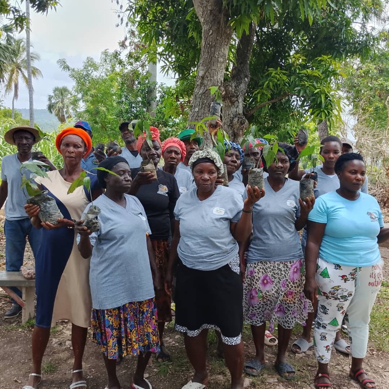 TDJ/Jean-Rabel, Haïti