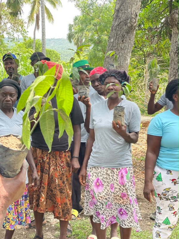 TDJ/Jean-Rabel, Haïti