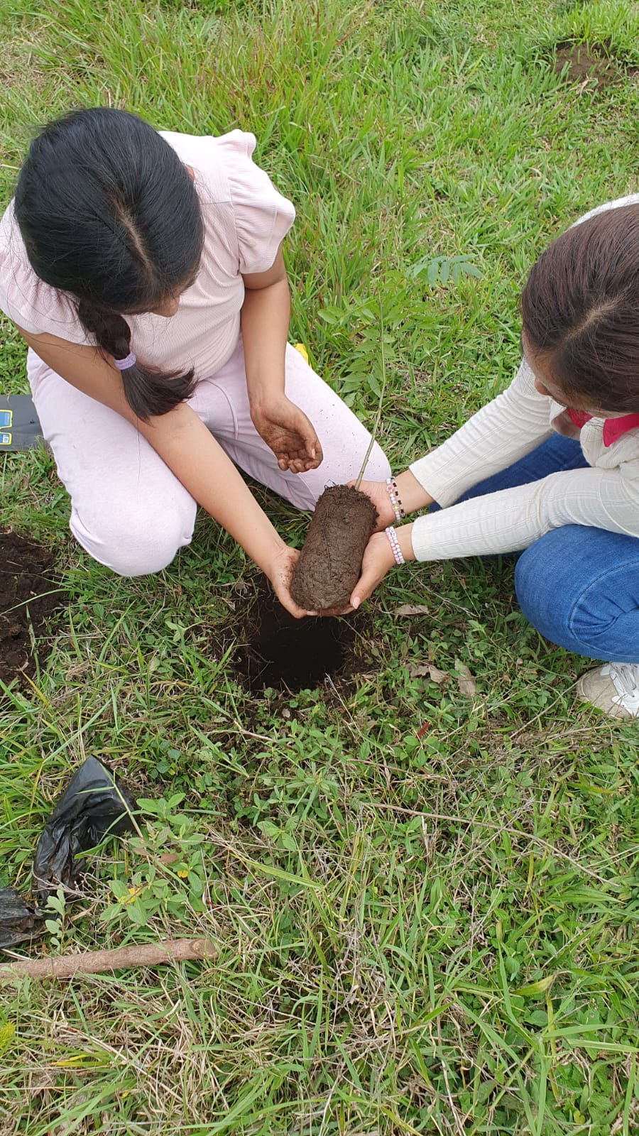 FETE DE L'ARBRE MEXICO