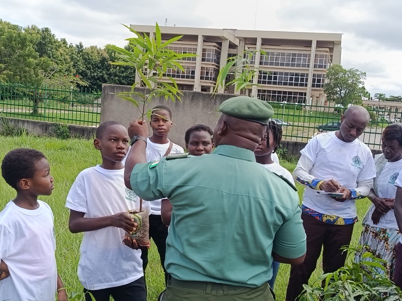 Fête de l'arbre 2026 en Côte d'Ivoire