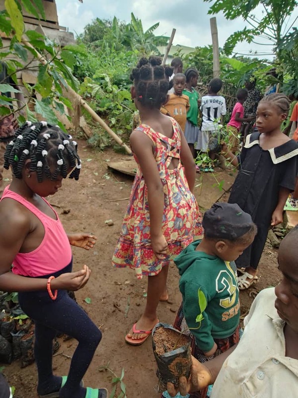 Fête de l'arbre 2026 au Cameroun
