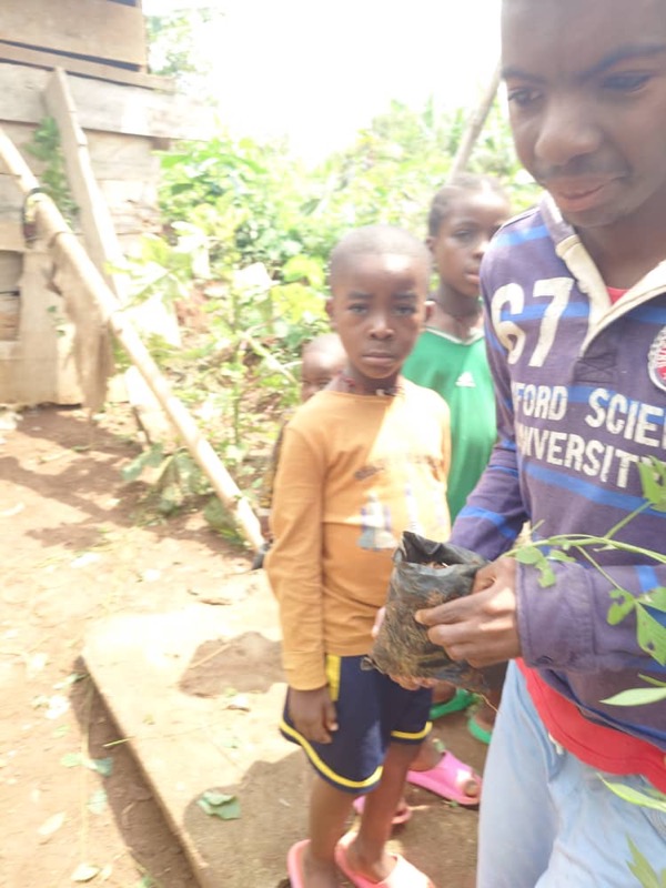 Fête de l'arbre 2026 au Cameroun